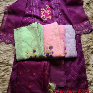 Pakistani Sadabahar Inspired Party Collection